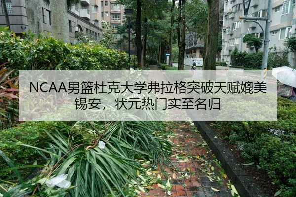 nan-lan-du-ke-da-xue-fu-la-ge-tu-po-tian-fu-pi-mei-xi-an-zhuang-yuan-re-men-shi-zhi-ming-gui-3-811.jpg