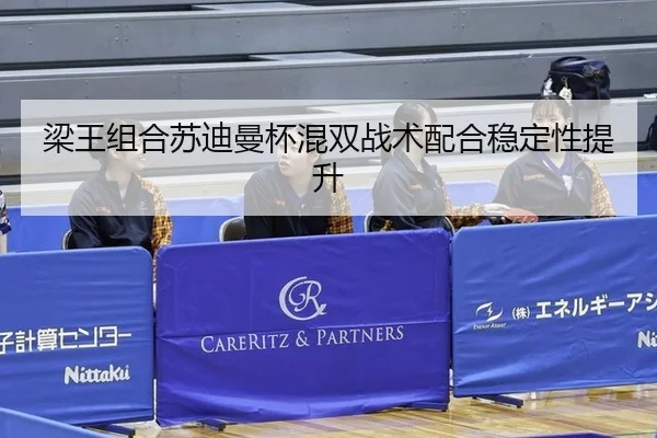 liang-wang-zu-he-su-di-man-bei-hun-shuang-zhan-shu-pei-he-wen-ding-xing-ti-sheng-2-301.jpg