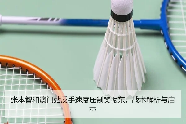 张本智和澳门站反手速度压制樊振东，战术解析与启示