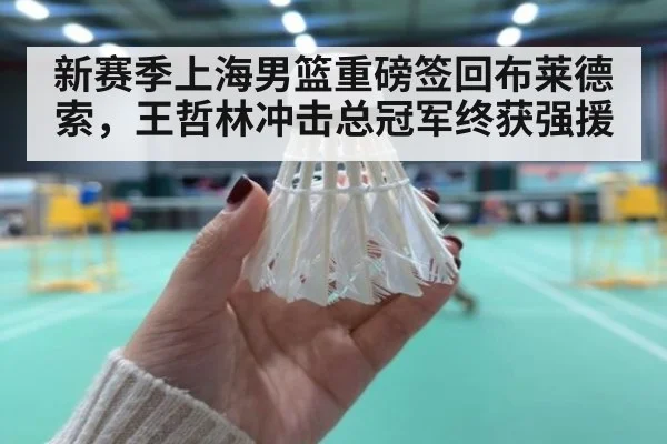 新赛季上海男篮重磅签回布莱德索，王哲林冲击总冠军终获强援